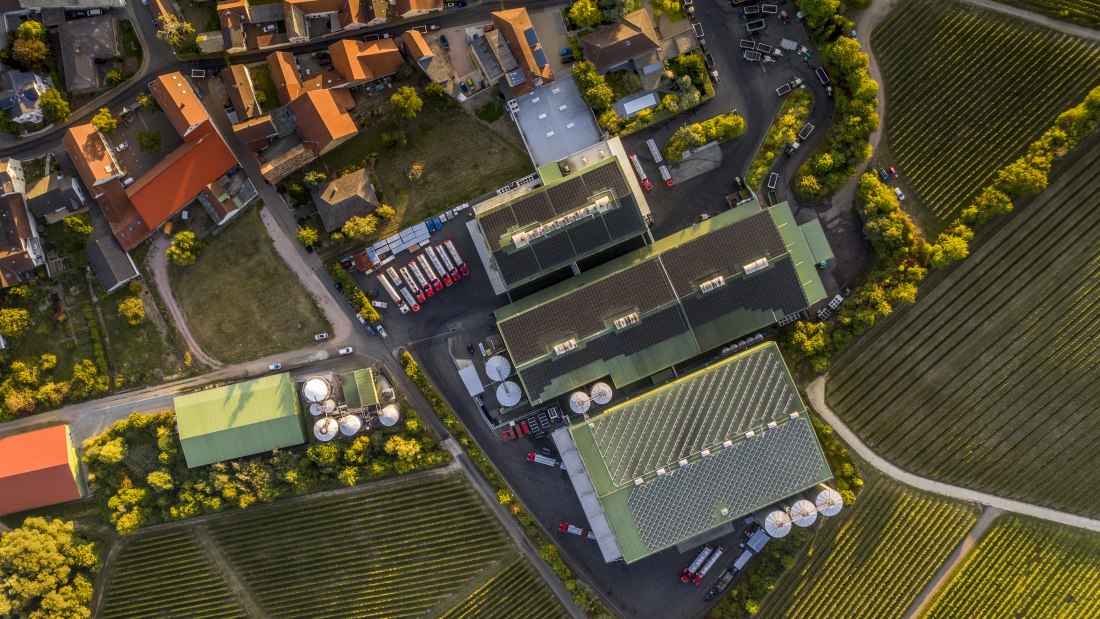 J. Trautwein feine Weine_Weingut, &copy; Fotografie Torsten Silz