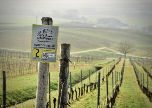 Weingut Wagner_Weinberg &copy; Weingut Wagner