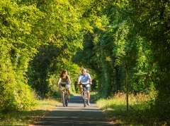Radfahren Hohlweg &copy; Rheinhessen-Touristik GmbH - Dominik Ketz