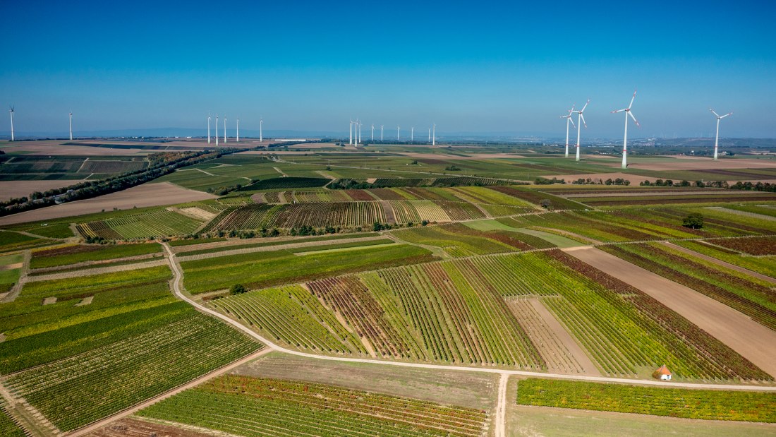 Biebelnheimer Rosengarten