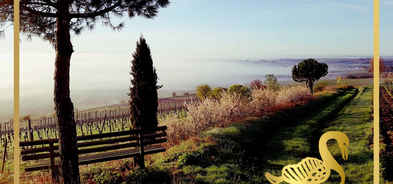 Weingut Schwahn-Fehlinger_Logo 2, &copy; Weingut Schwahn-Fehlinger