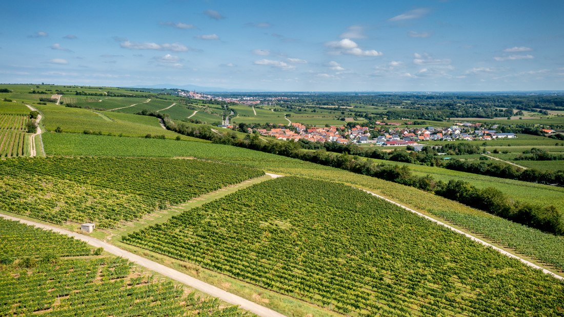 Ludwigsh&ouml;her Teufelskopf