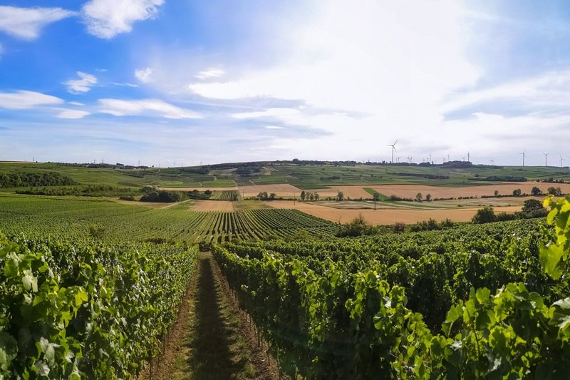 Kloppberg, &copy; Jonas Otte