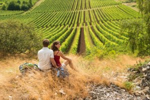 Wandern in den Weinbergen, © Rheinhessen-Touristik GmbH - Dominik Ketz