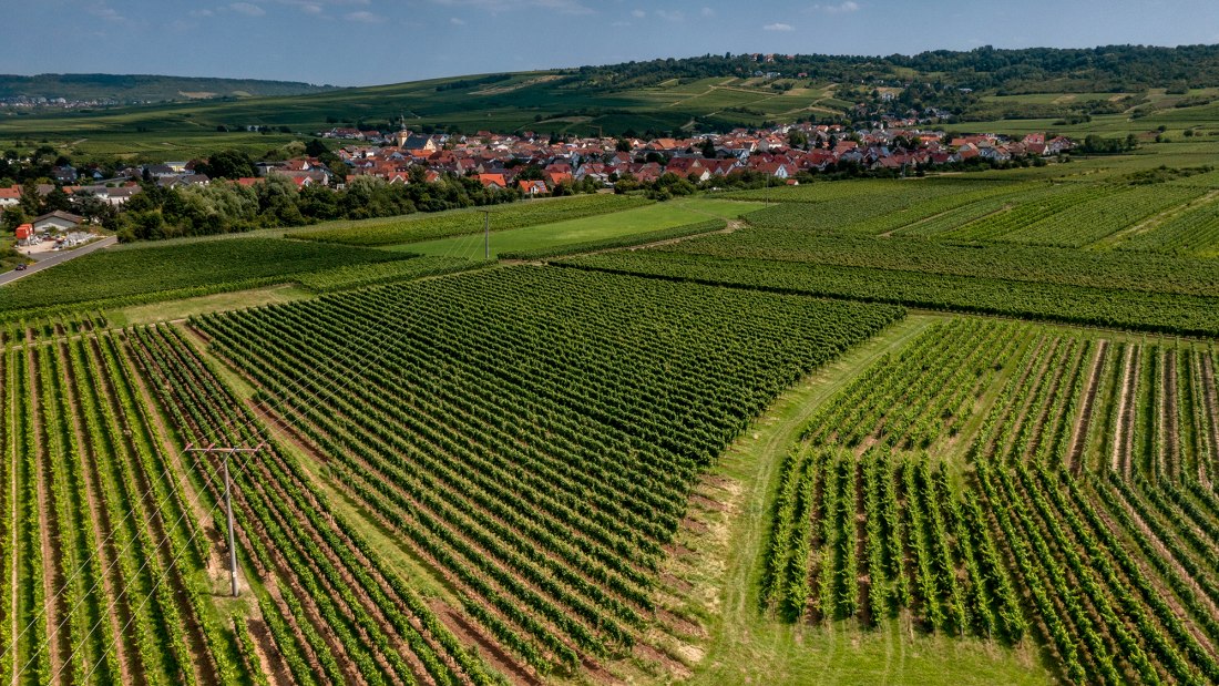 Ockenheimer Hockenmühle