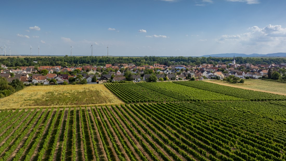 Heppenheimer Schneckenberg, &copy; Torsten Silz
