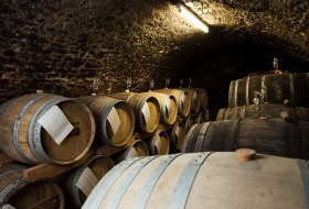Vinothek Dackermann &copy; Weingut Dackermann