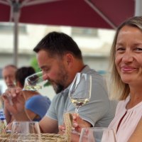 Weinprobe in der Vinothek © Touristikverein Wonnegau e.V.