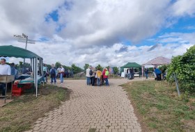 Wein- und Essenstand Weinpilgern &copy; Touristikverein Wonnegau e.V.