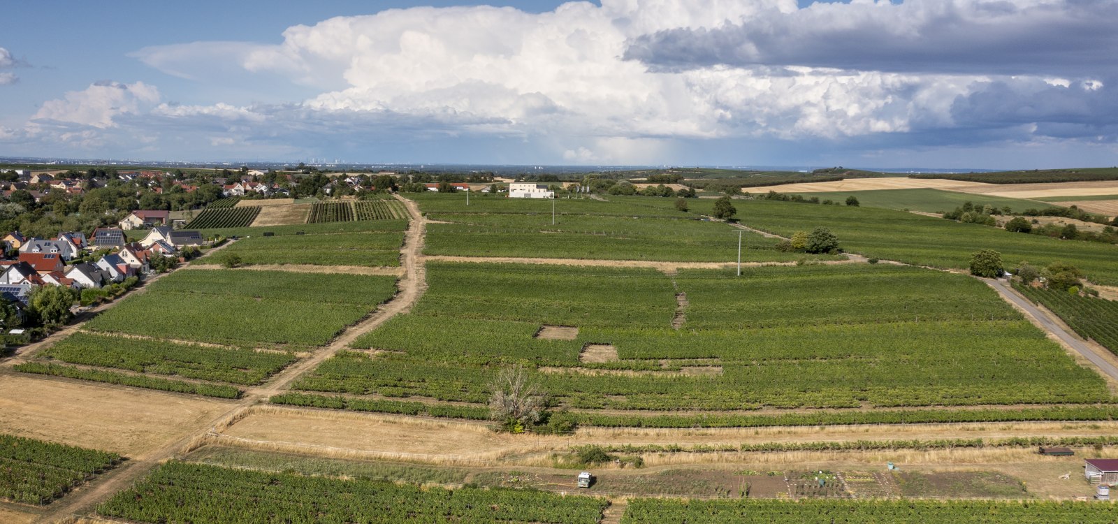 L&ouml;rzweiler K&ouml;nigstuhl