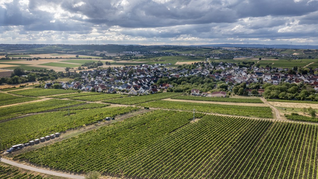 L&ouml;rzweiler K&ouml;nigstuhl