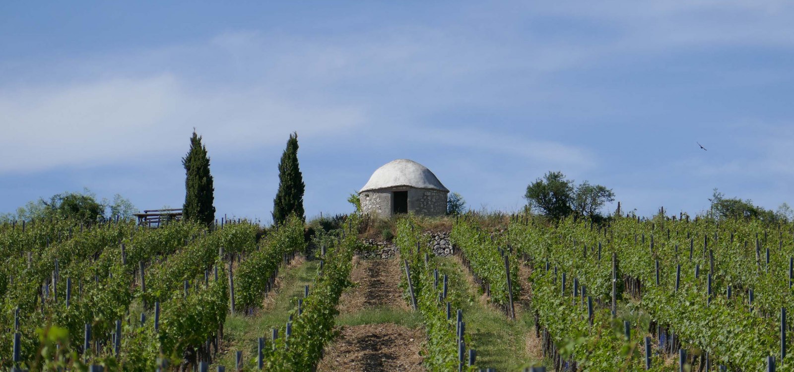 Weinbergshaus Westhofen, © Michael Jung