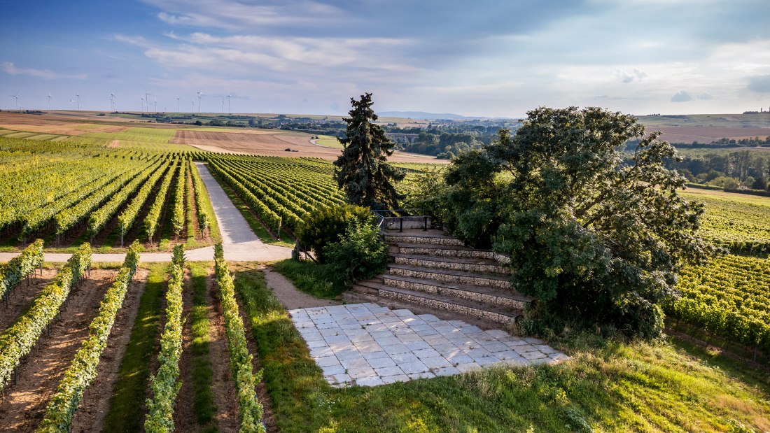 Dautenheimer Himmelacker