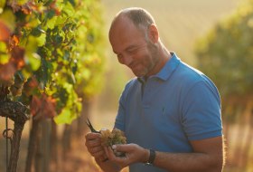 Weingut Dr. Koehler_Christian Drei&szlig;igacker &copy; Weingut Dr. Koehler