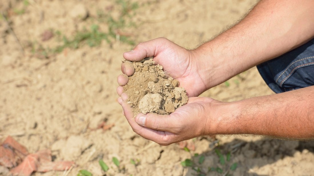 Weingut Schweickardt_Boden, &copy; Weingut Schweickardt