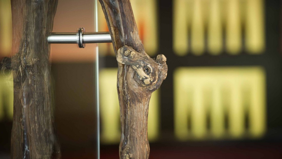 SPIESS WEINMACHER_Rebe, &copy; SPIESS WEINMACHER - Haus Eichrodt