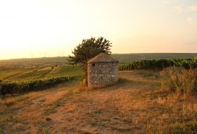 Herbst im Wonnegau &copy; Stephan Ennemoser