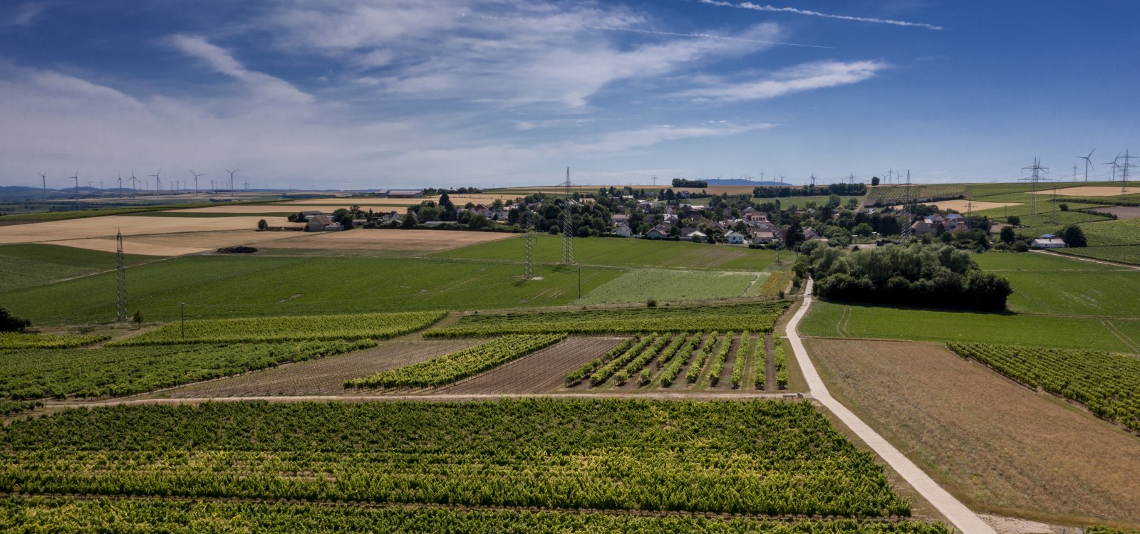 Monzernheimer Goldberg