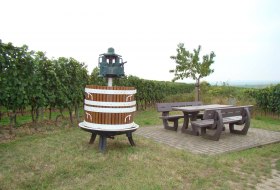 Wein Bechtheim &copy; Verbandsgemeinde Wonnegau / Michael Thier
