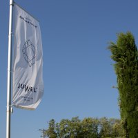 JUWEL Weinpicknick Alsheim