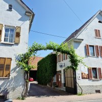 Weingut H. L. Menger, Einfahrt