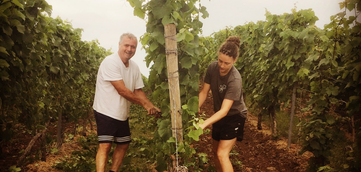 Weinmacher, &copy; Weingut Sans-Lorch