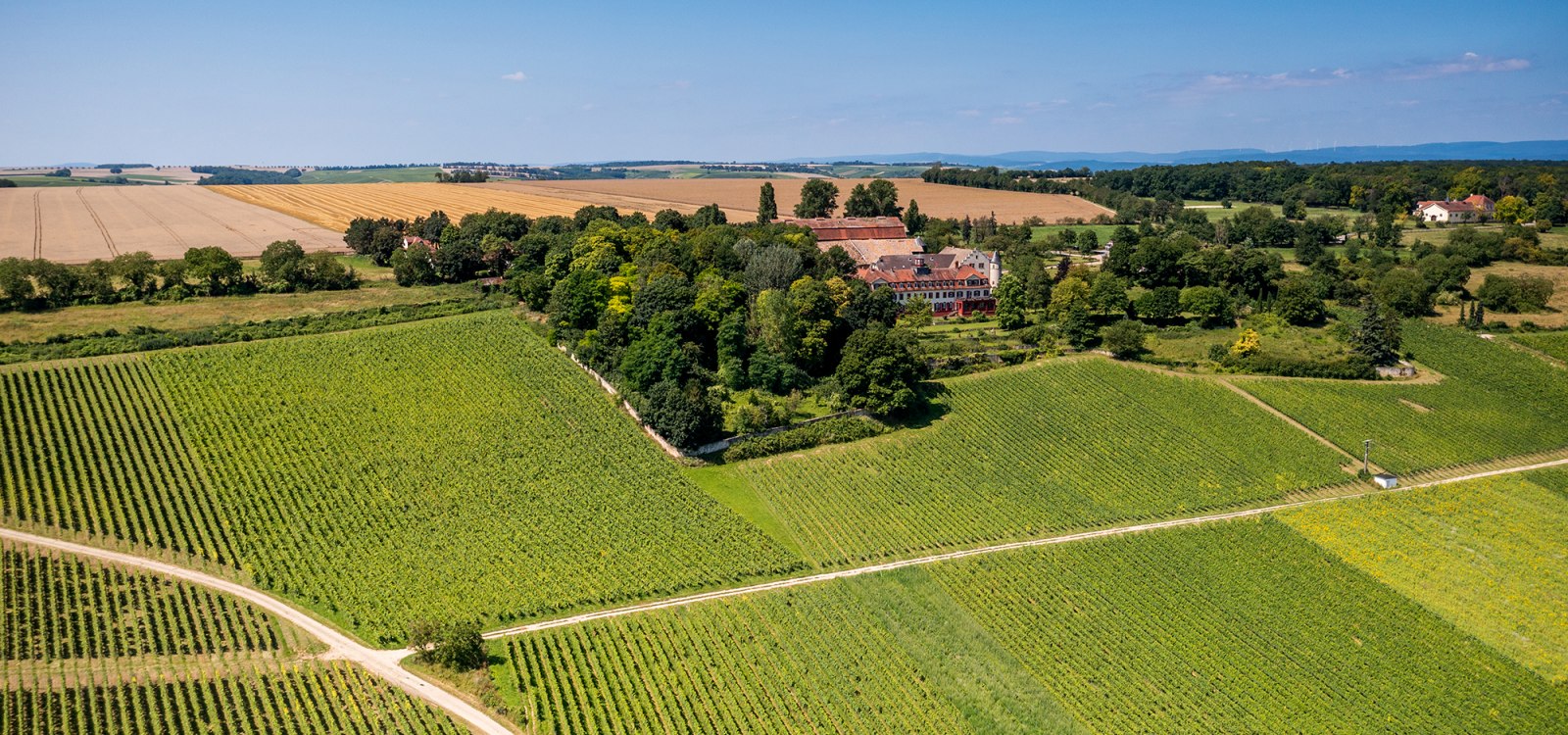 Ingelheimer Schlo&szlig; Westerhaus