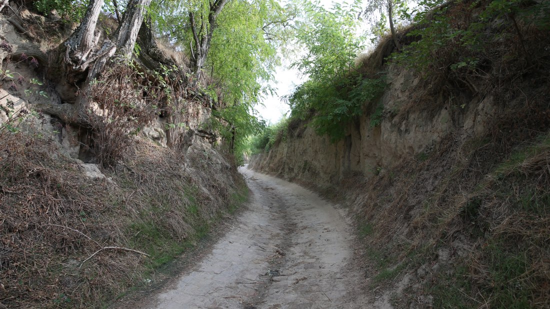 Weingut Fischborn Bergeshof_Weg, &copy; Weingut Fischborn Bergeshof