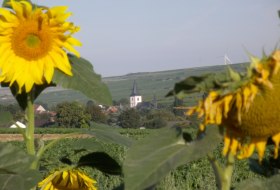 Wonnegau &copy; Michael Jung