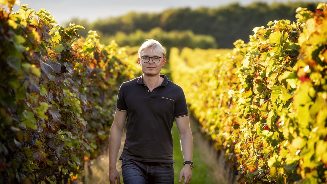 J. Trautwein feine Weine_Winzer Herbst, &copy; Fotografie Torsten Silz