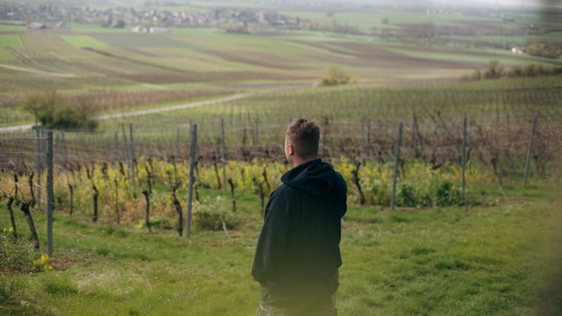 Weingut Binzel_Winzer Weinberg, &copy; Weingut Binzel