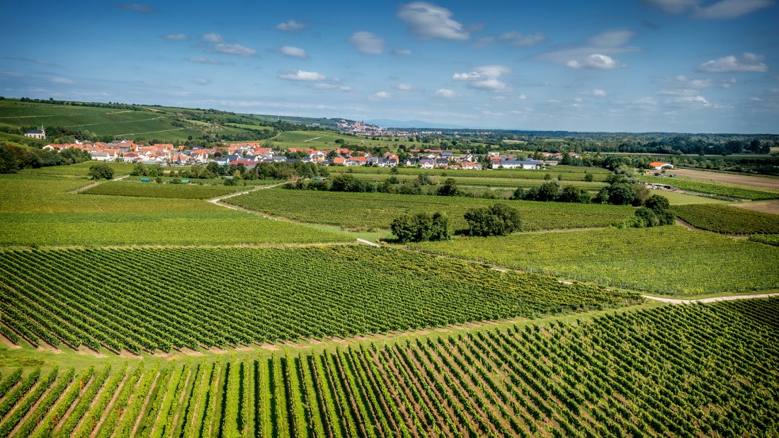 Ludwigsh&ouml;her Teufelskopf