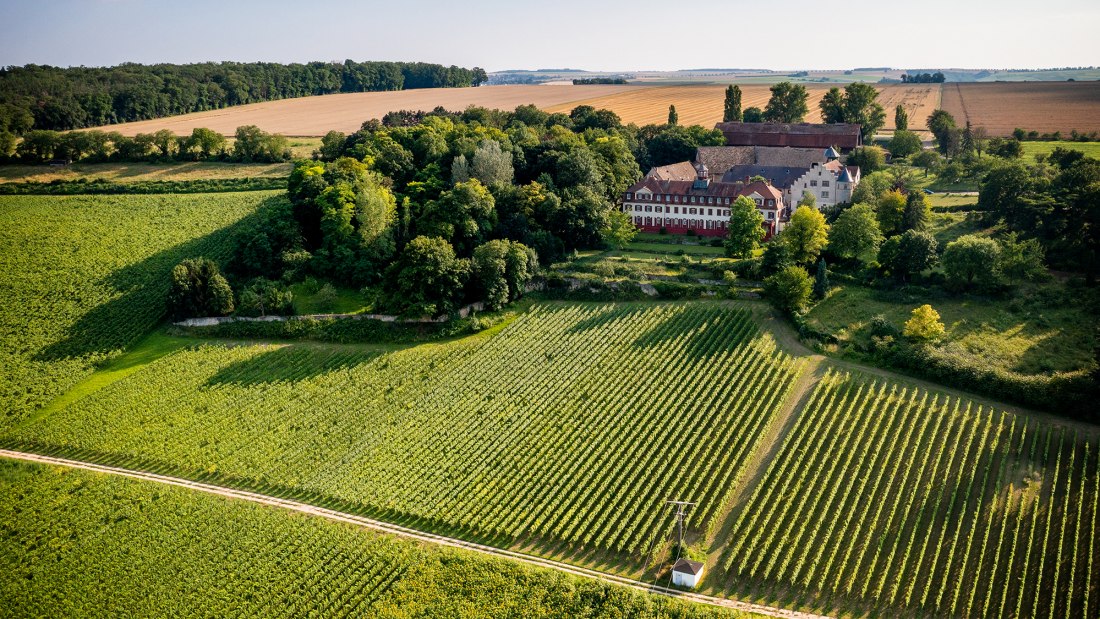 Ingelheimer Schlo&szlig; Westerhaus