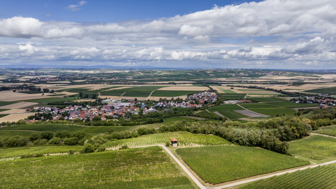Bornheimer H&auml;hnchen