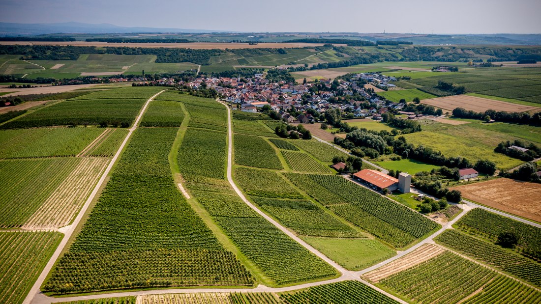 Appenheimer Eselspfad