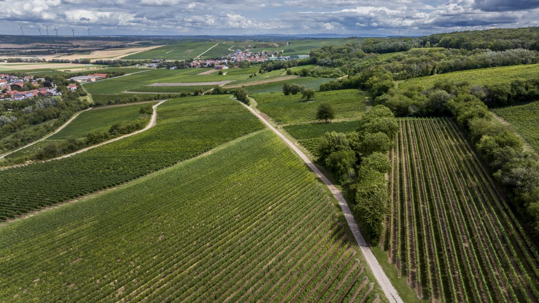 Bornheimer H&auml;hnchen