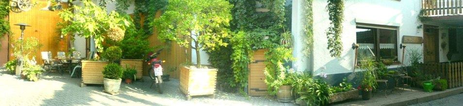 Weingut Beyer-B&auml;hr_Hof, &copy; Weingut Beyer-B&auml;hr