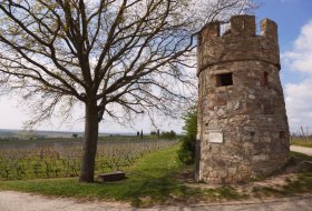 Picknickplatz am Juliusturm &copy; Michael Jung / Touristikverein Wonnegau e.V.