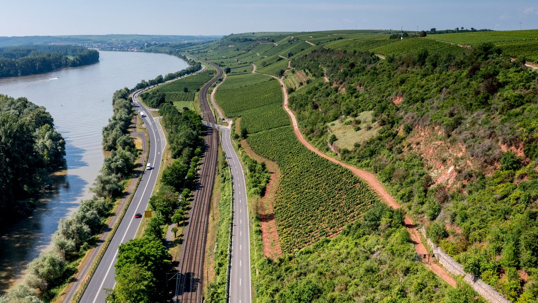 Nackenheimer Rothenberg