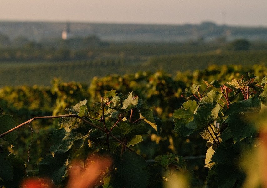 Weinberg
