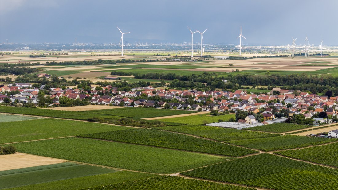 Heppenheimer Affenberg, © Torsten Silz