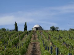 Weinbergshaus Westhofen &copy; Michael Jung
