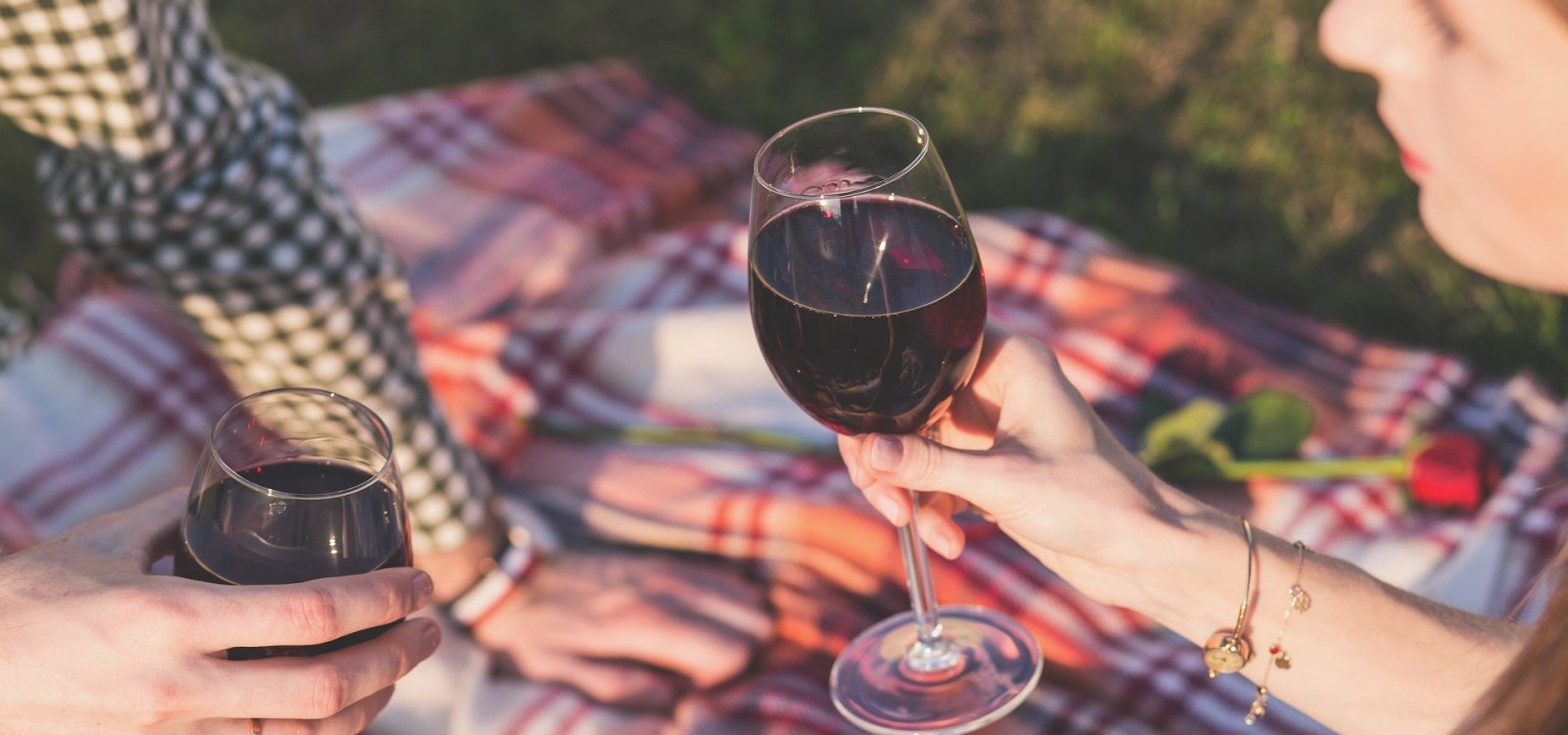 Weinpicknick im Wonnegau, &copy; Pexels auf Pixabay