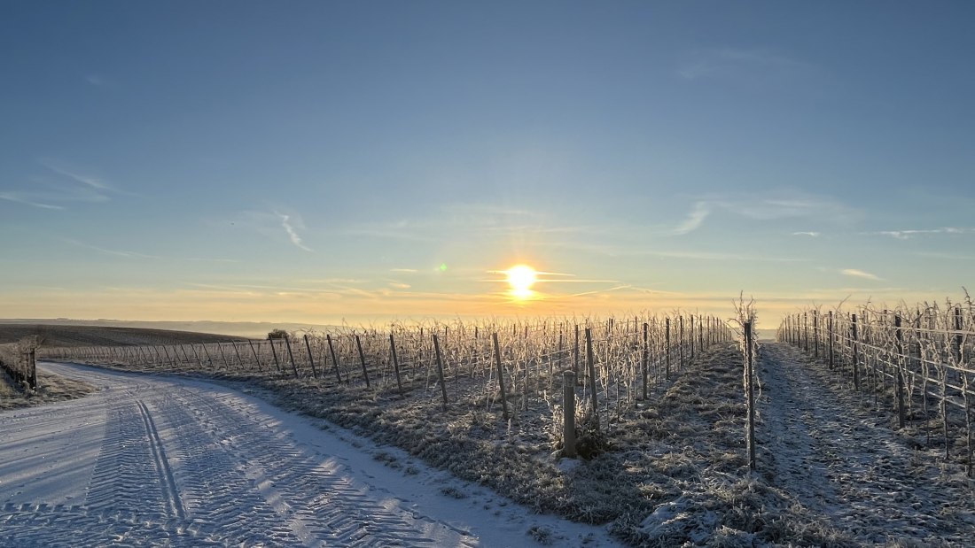 Bio Weingut Hellmich_Schnee, &copy; Bio Weingut Hellmich