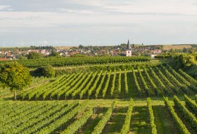 Gemeinde im Wonnegau &copy; Ulrich van Wasen