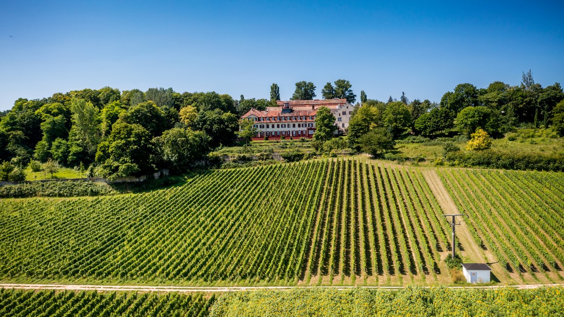 Ingelheimer Schlo&szlig; Westerhaus