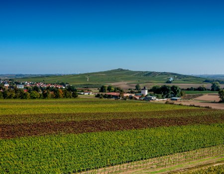 Biebelnheimer Pilgerstein, &copy; Torsten Silz
