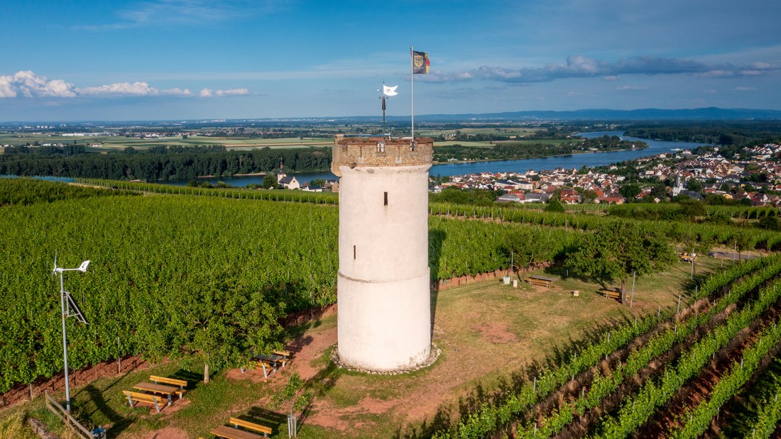 Niersteiner Ölberg