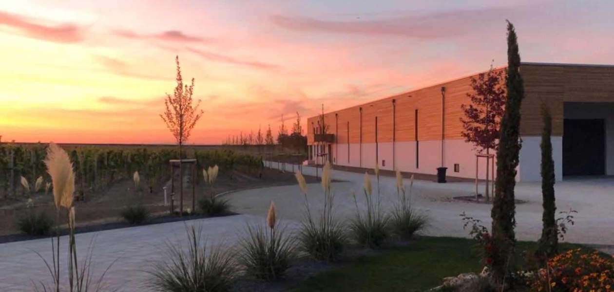 Abendstimmung, &copy; Weingut Th&ouml;rle