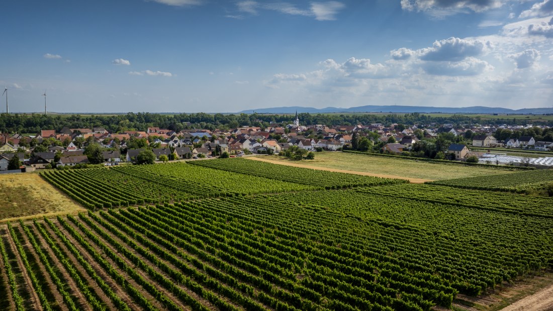 Heppenheimer Schneckenberg, &copy; Torsten Silz